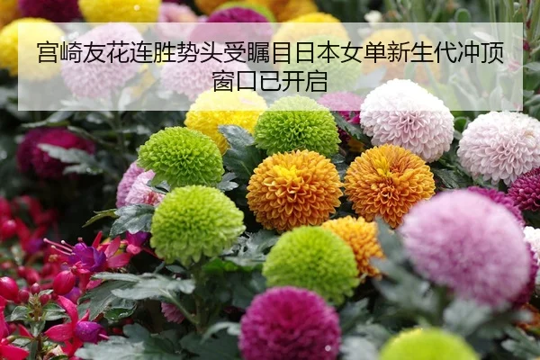 宫崎友花连胜势头受瞩目日本女单新生代冲顶窗口已开启