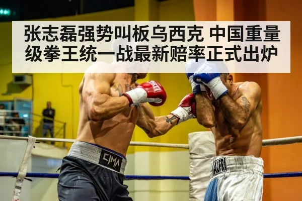 张志磊强势叫板乌西克 中国重量级拳王统一战最新赔率正式出炉