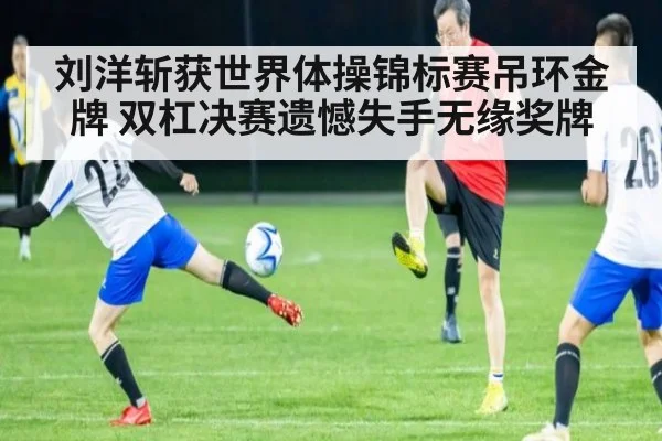 刘洋斩获世界体操锦标赛吊环金牌 双杠决赛遗憾失手无缘奖牌